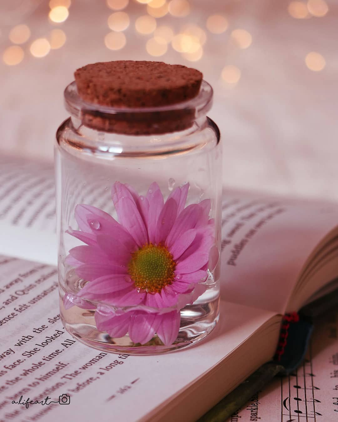 Одежда, обувь, аксессуары