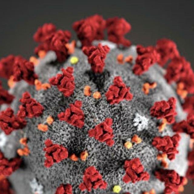 Газета Корона