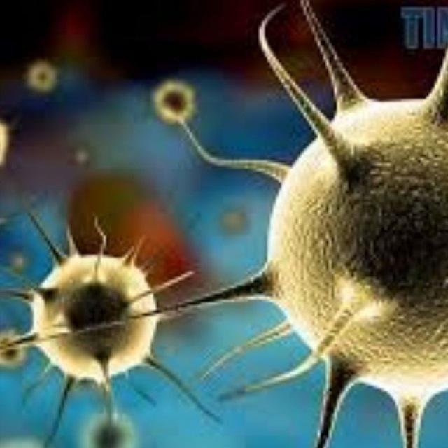 Памятка о Коронавирусе