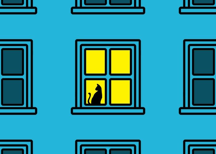 Карантин бот