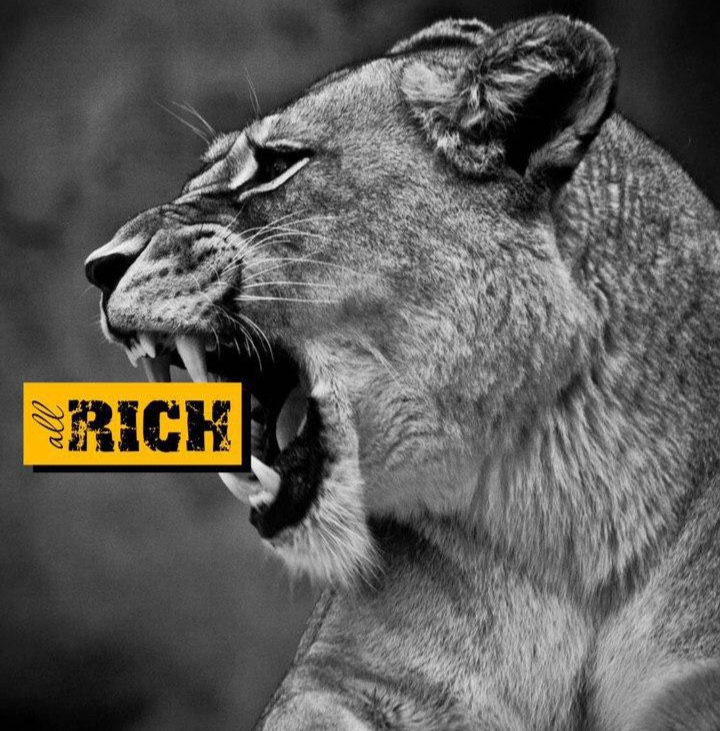 PRO деньги на лайте