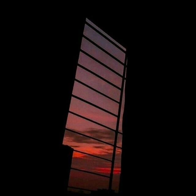 мемы & пикчи и все такое :)