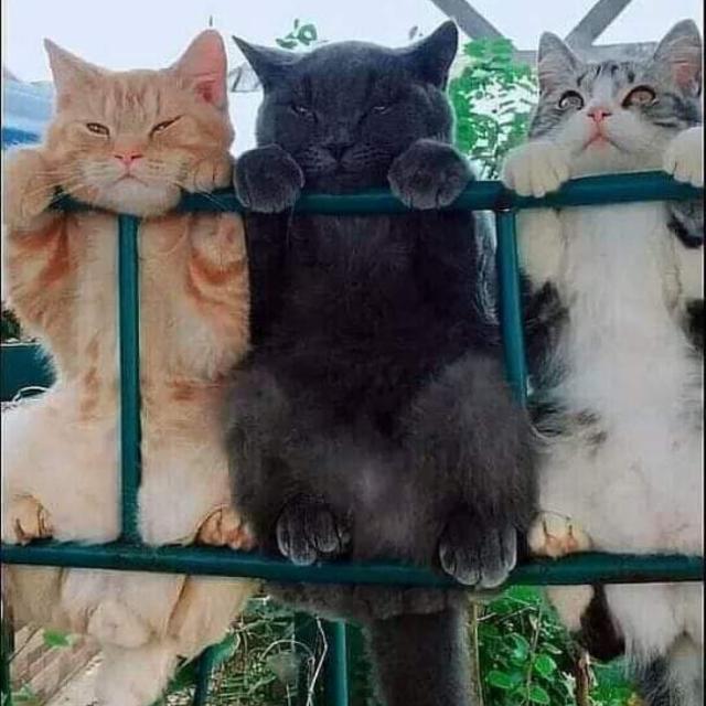 ПОЗИТИВ ПО ВЗРОСЛОМУ 18+