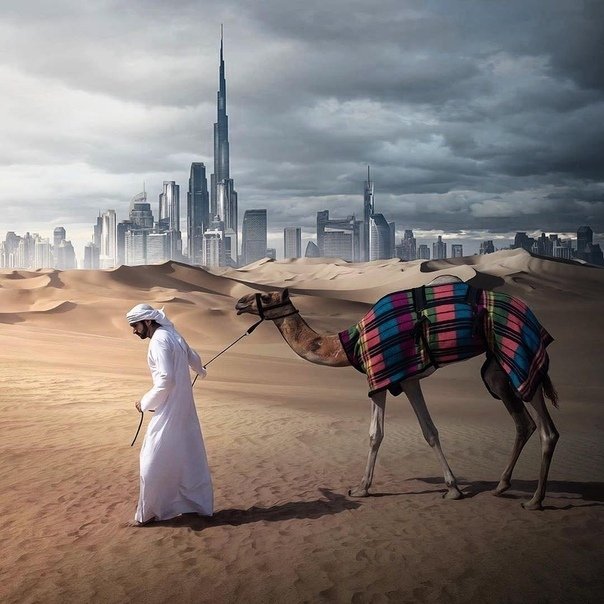 ВОСТОК | КАВКАЗ | АЗИЯ |АФРИКА