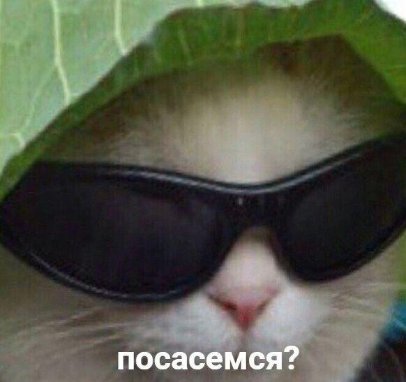 Сочная канава