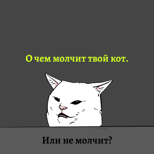О чем молчит твой кот.