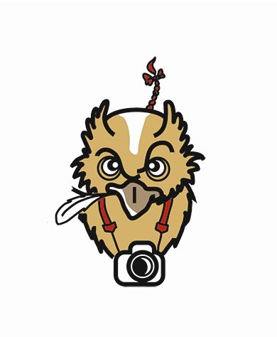 ПОСТУПАЮ НА ЖУРФАК