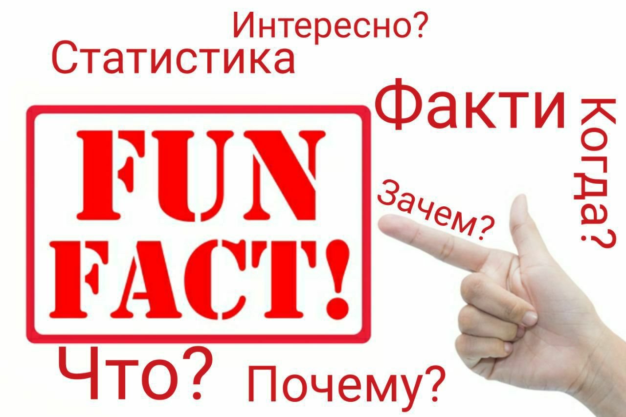 Любитель фактов