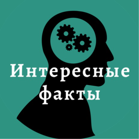 Интересные факты