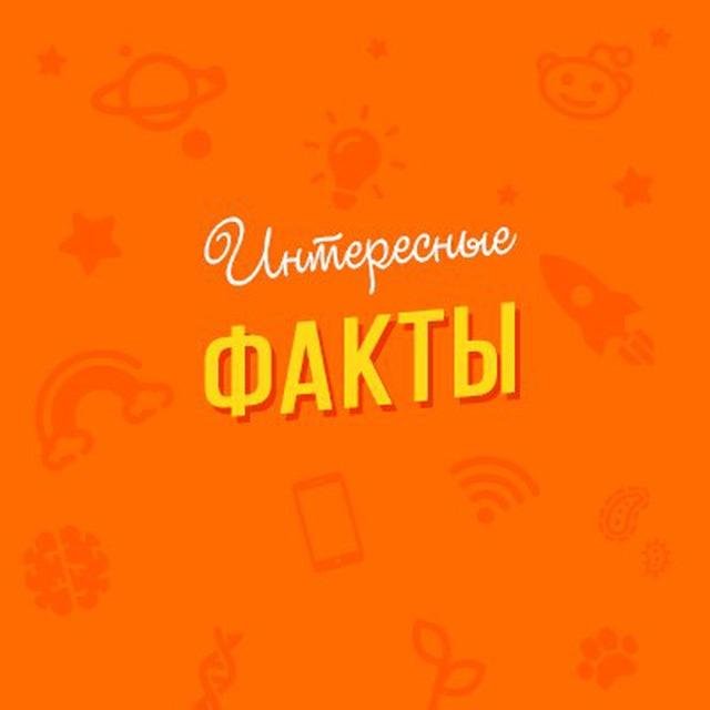 Интересные Факты