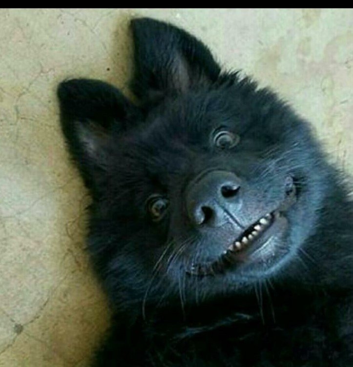 Общение Караганда