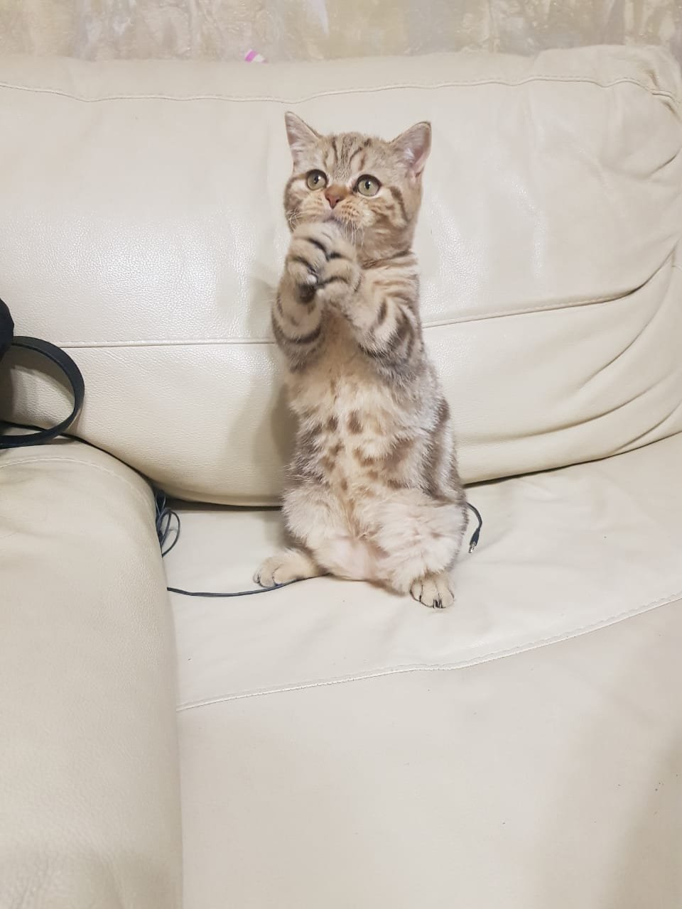 Новости Испании