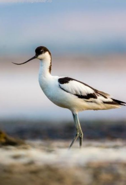 Новости Болгарии