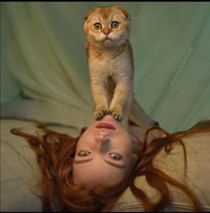 Уютный чатик