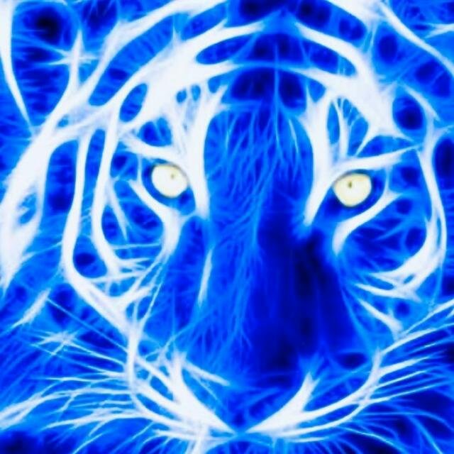 💥Огонь🧢Чат⭐