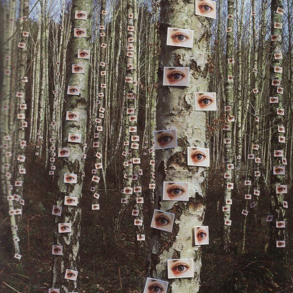 Самопознание