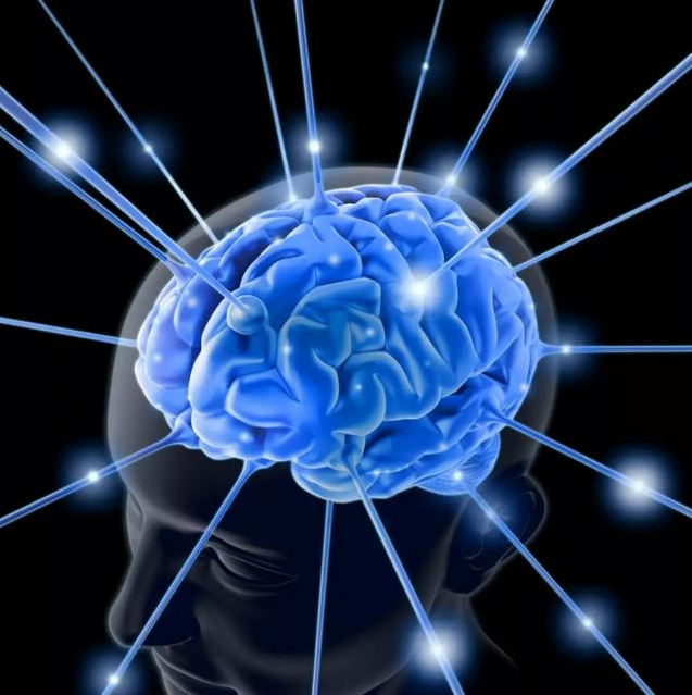 Цвет Москвы