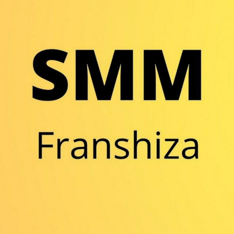 INSTAGRAM SMM ФРАНШИЗА