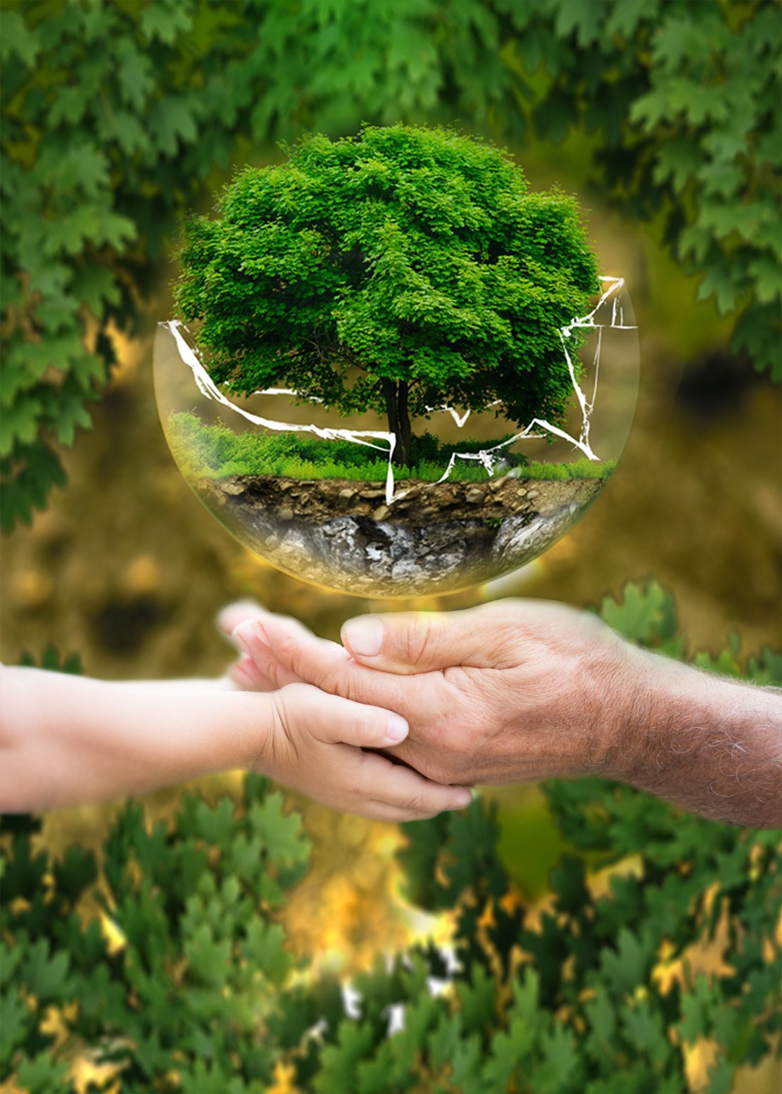 ЭКО ДОМ клиентский чат