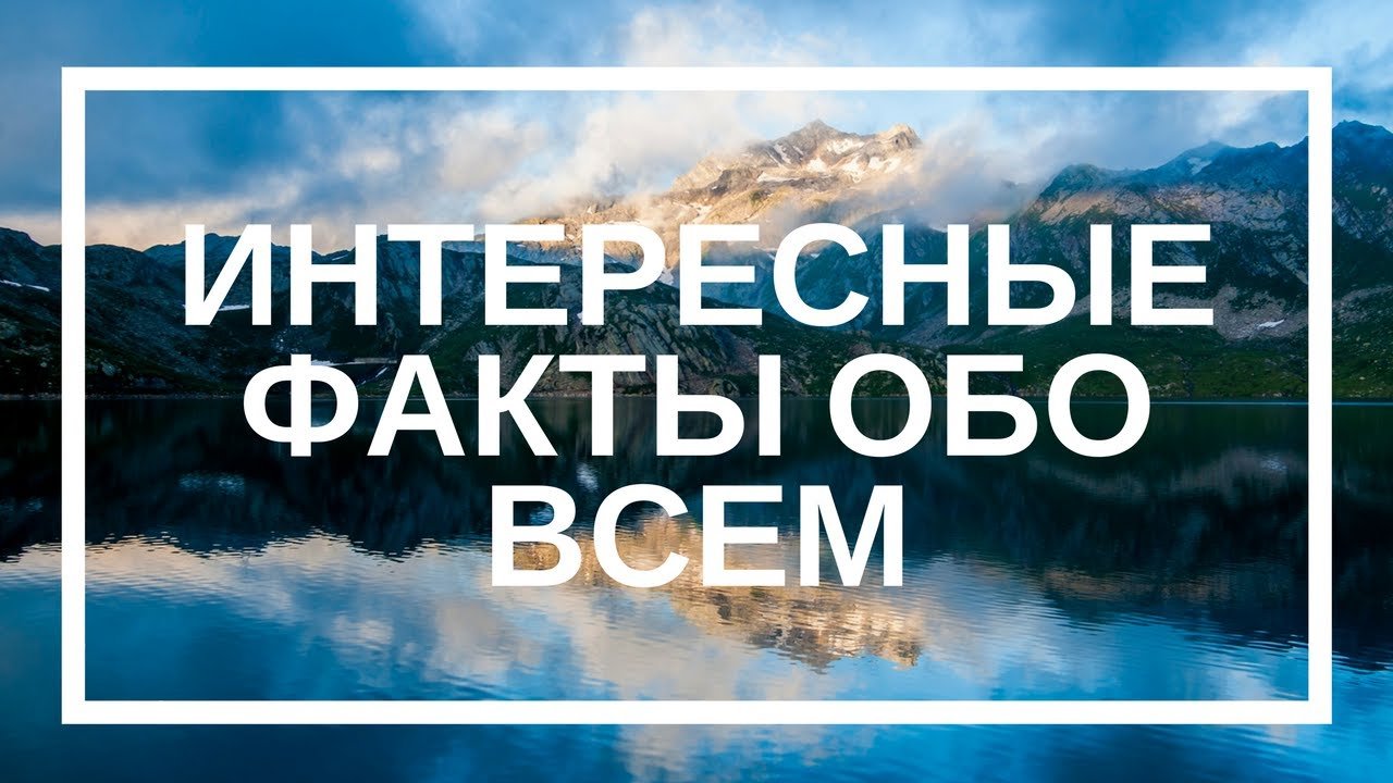 Умники и умницы