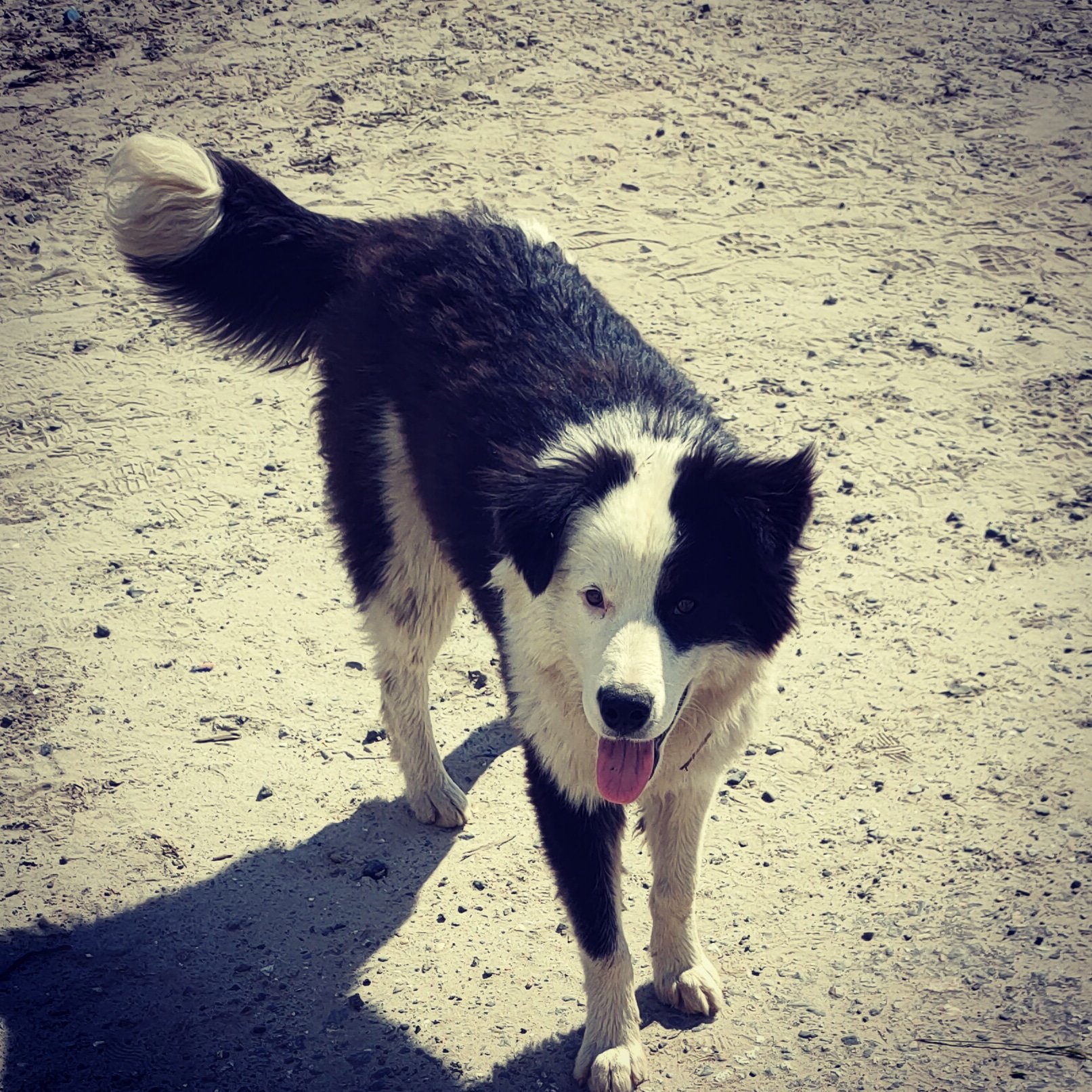 Без Цензуры