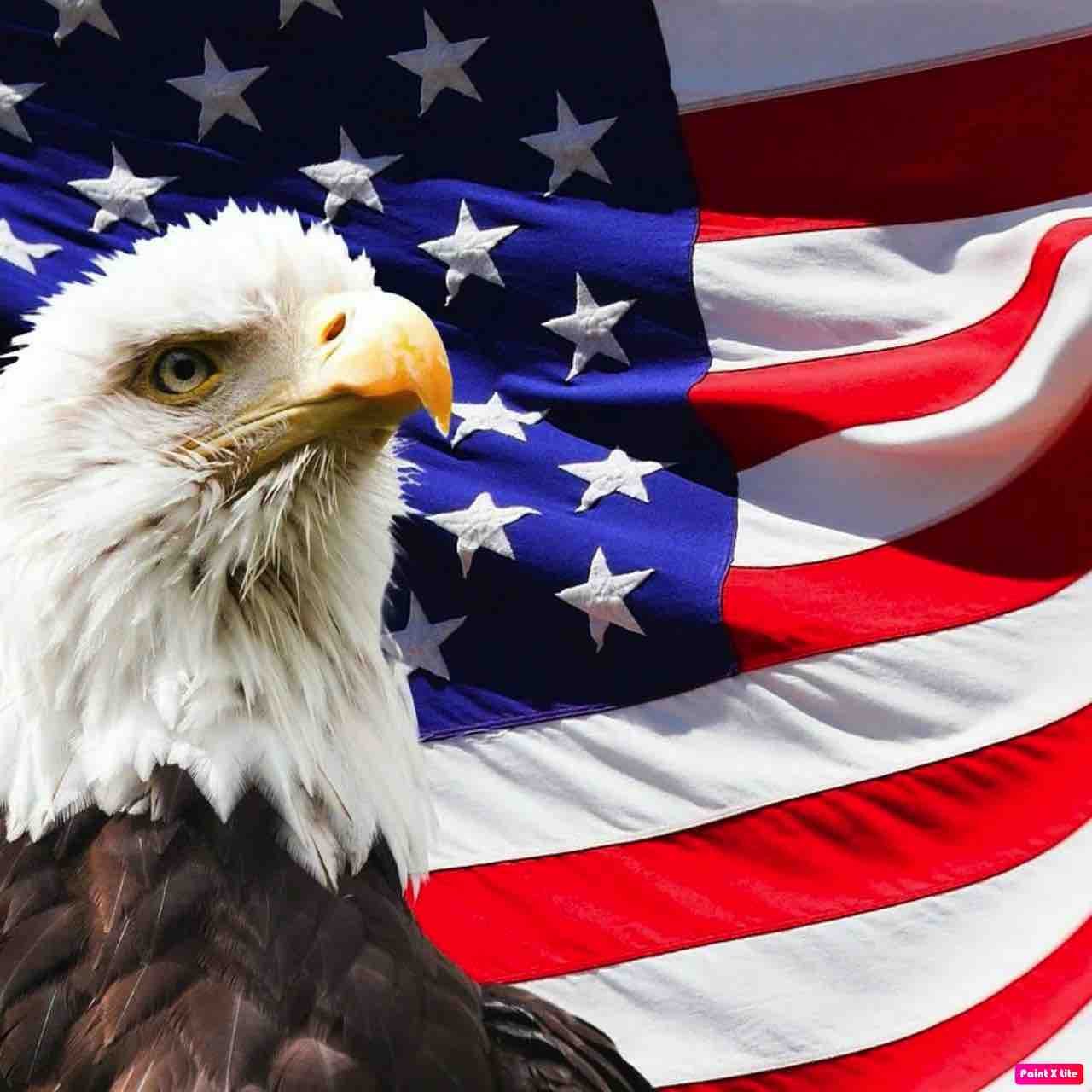 Переехали в США