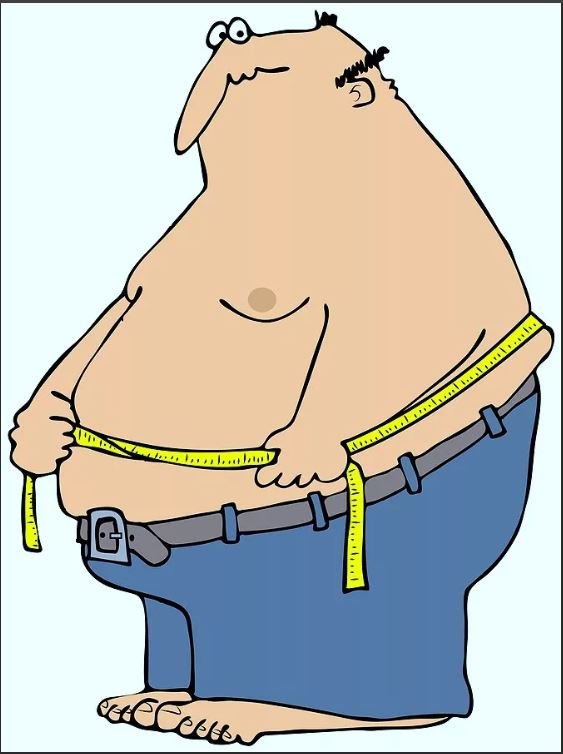 Записки "Бывшего" Толстяка