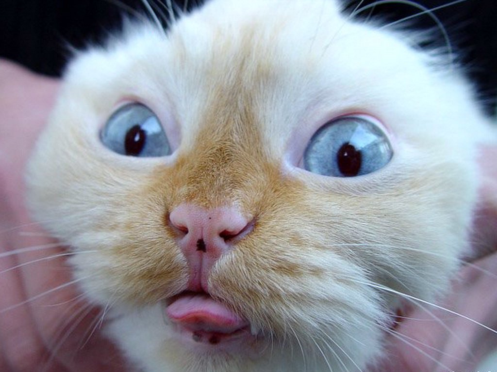 Анекдоты | Ржака +18 😂😂