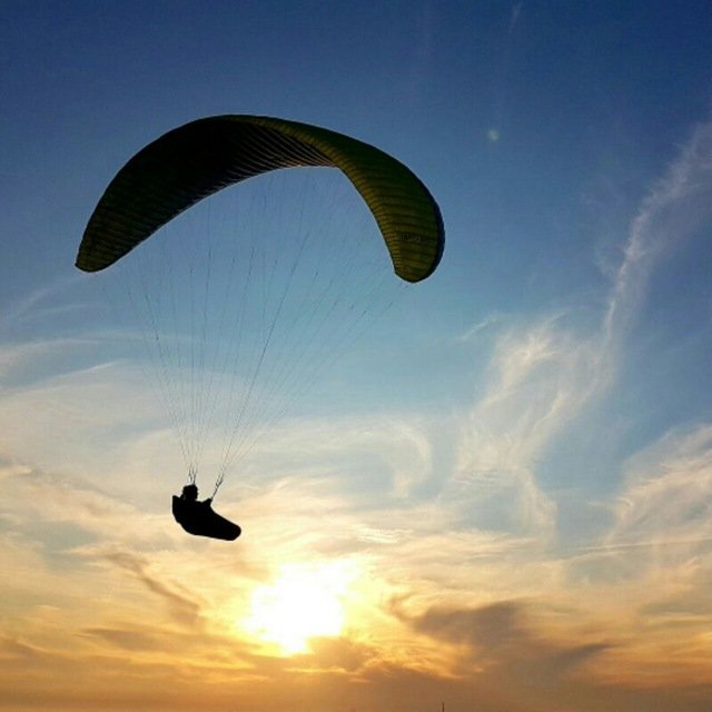 Теория одного дня 🌇| Саморазвитие