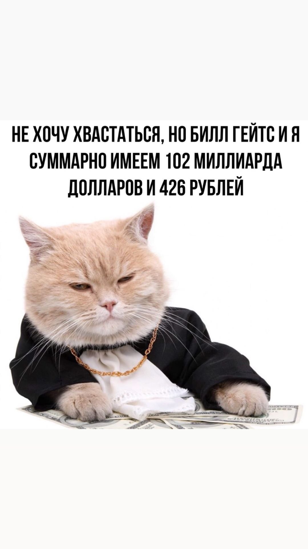 КотоДом - мир релакса и безумия