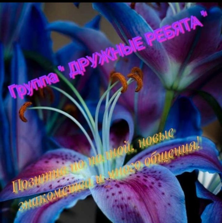 Дружные ребята