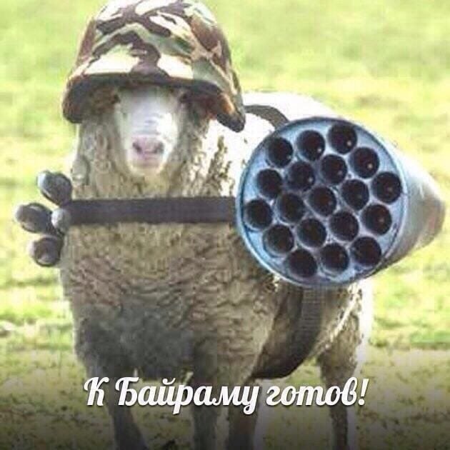 Адекватные и не очень