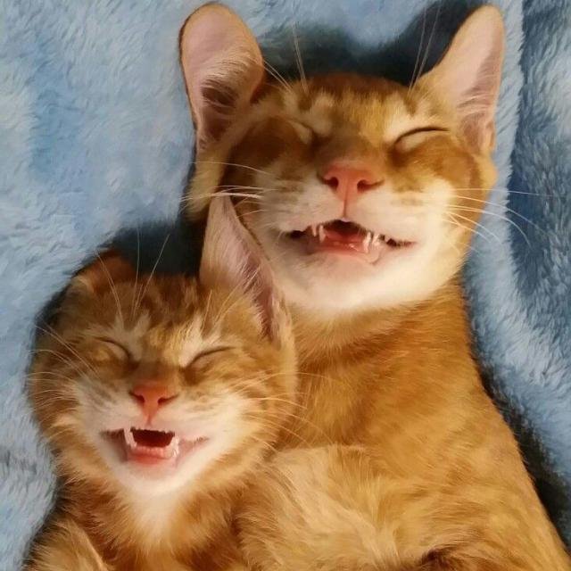 😜ПРИКОЛЮХИ и ОБЩУХИ😝