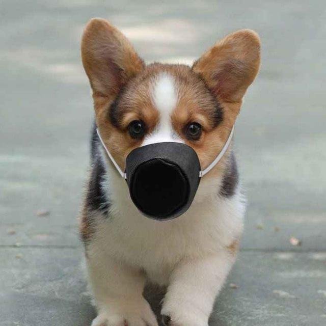 Мои Интересности