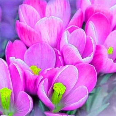 Горящие Туры Турция,ОАЭ👍