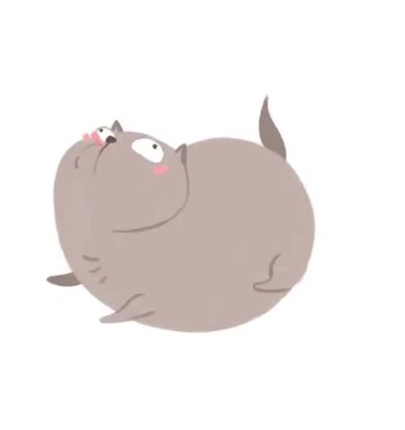 Котик-Бегемотик