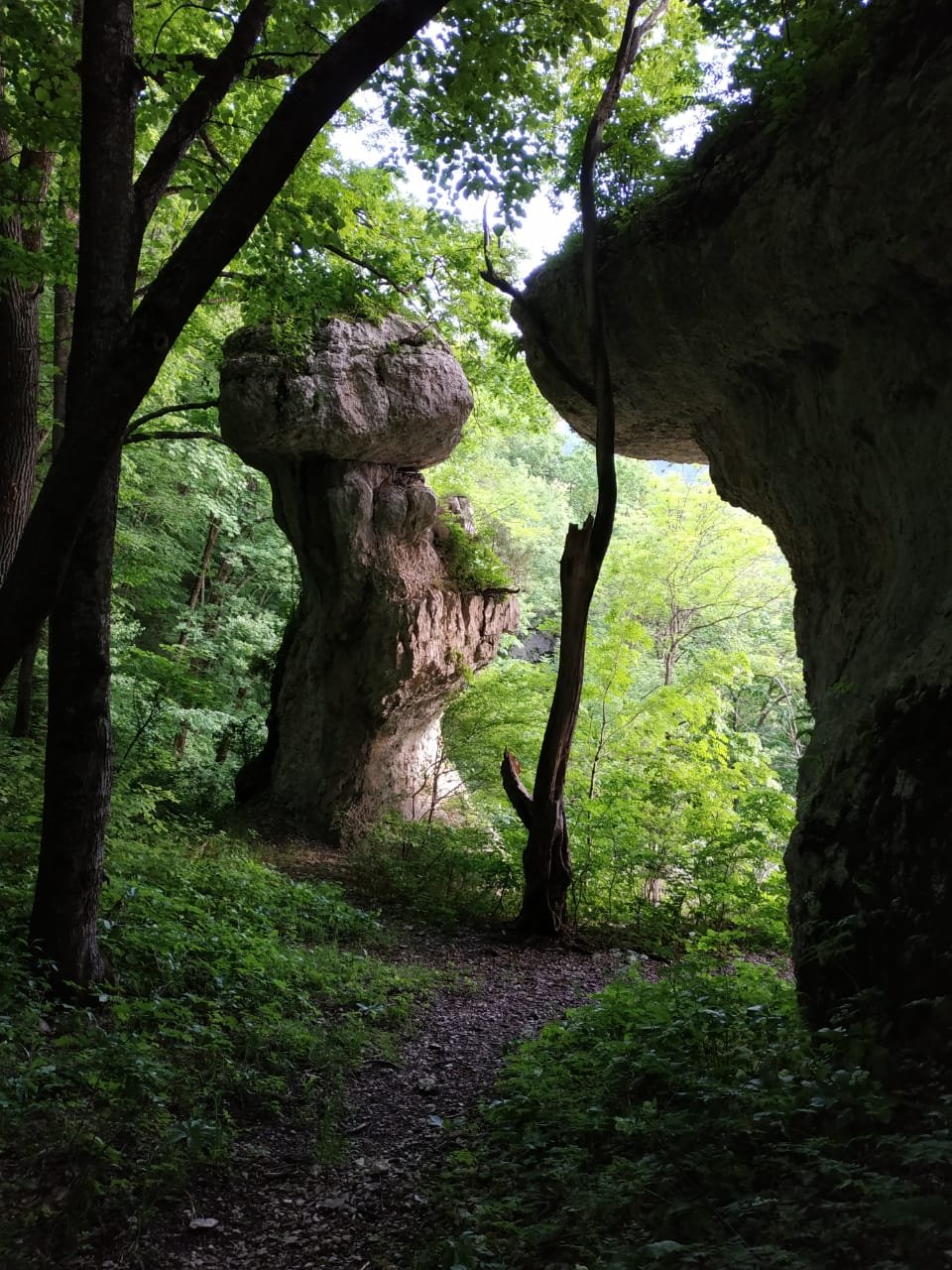 Все для тебя,Джони