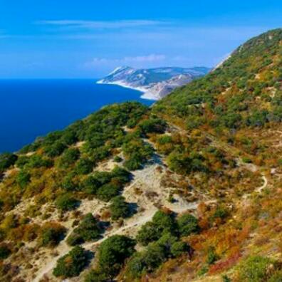 Кубань и не только