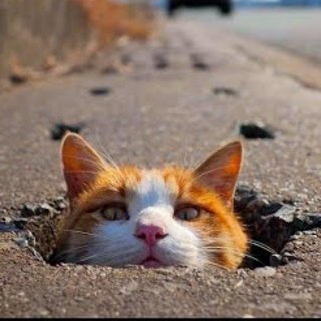 Слёзы меломана🔥