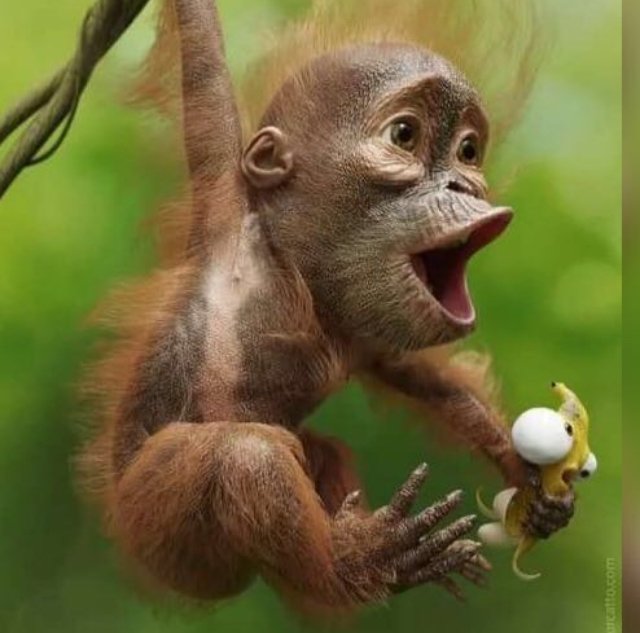 Общалочка&Юмор