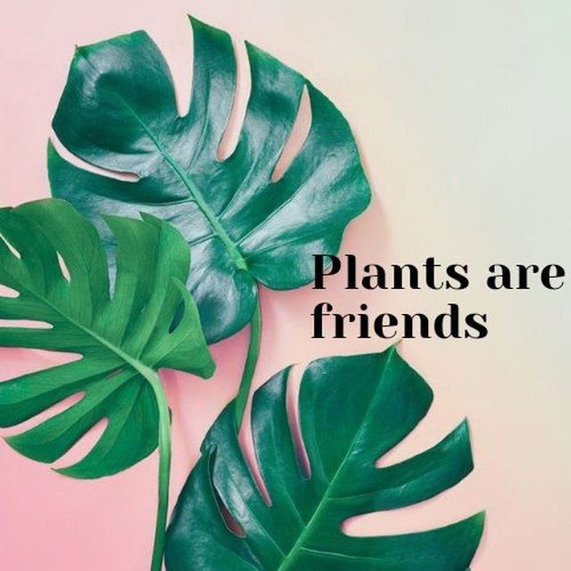 Plants are friends
