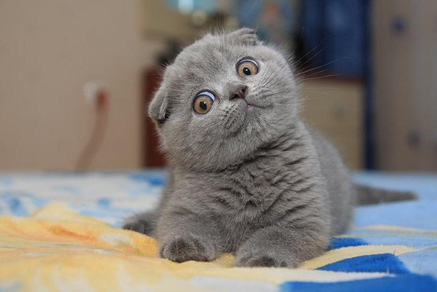 Общение без смущения