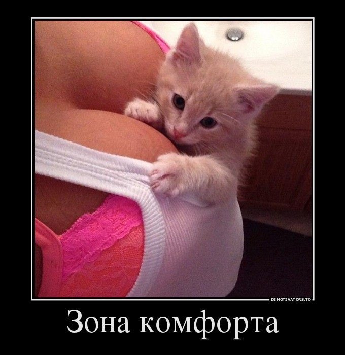 ➡️Срок годности💥💯