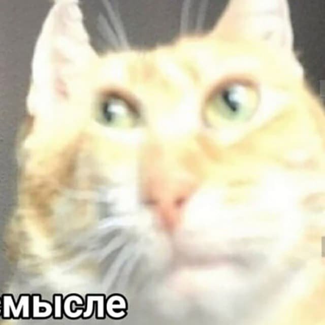 Приколы | Чё?