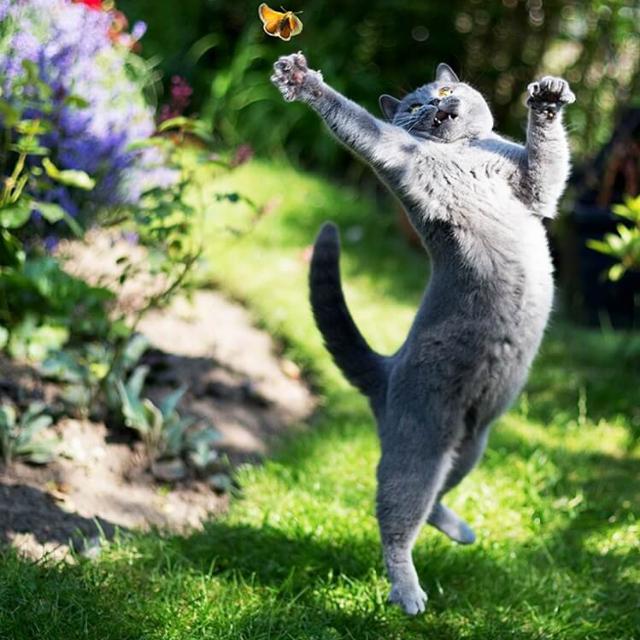 ❦︎На❦︎ позитиве❦︎