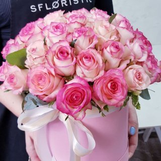 Sfloristic