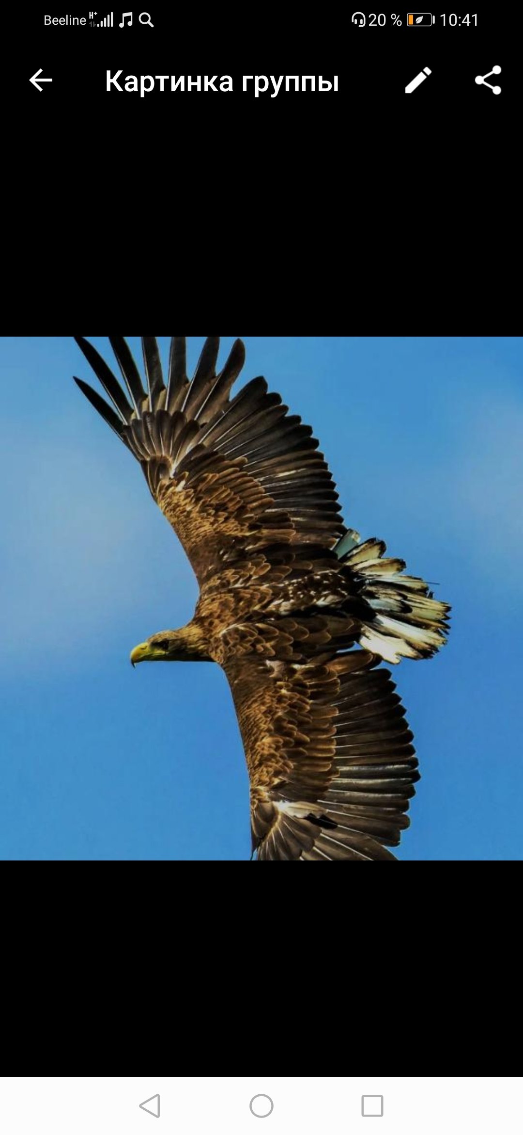 🤪ПОЗИТИВ 🤩