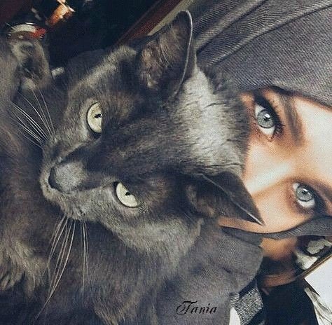 Грани Безумства