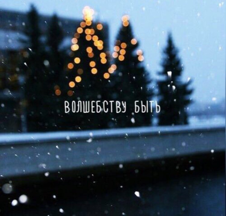 Волшебнутые, на всю голову 🤪