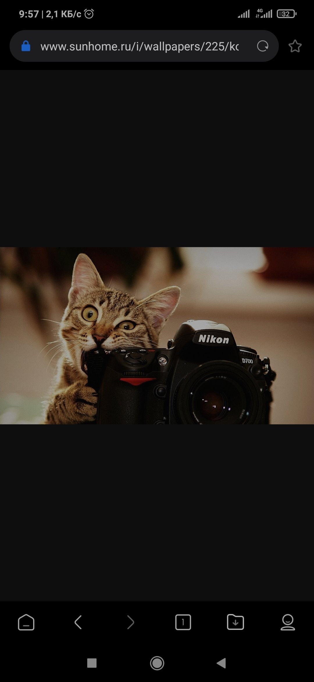 Эй йо Вешенская